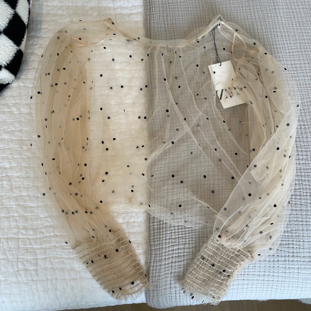 Zara sheer polka dot shirt